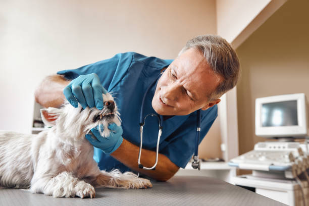 Best Pediatric Emergency Dentist in Carrabelle, FL